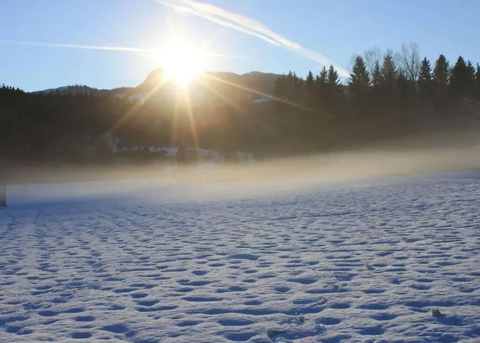 度假居 Heidi's House Comfortable Vacation